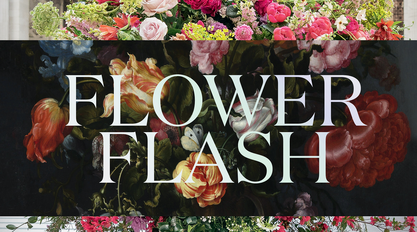 Flower Flash On Sale November 2