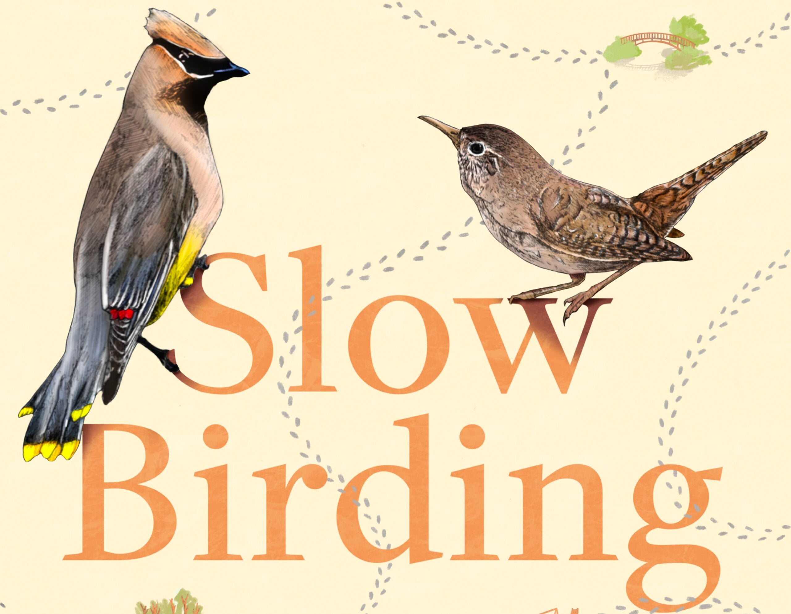 Practice Slow Birding Wherever You Live