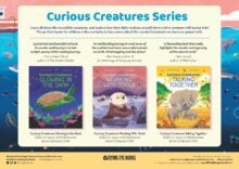 Flying Eye Books Curious Creatures Sell Sheet cover