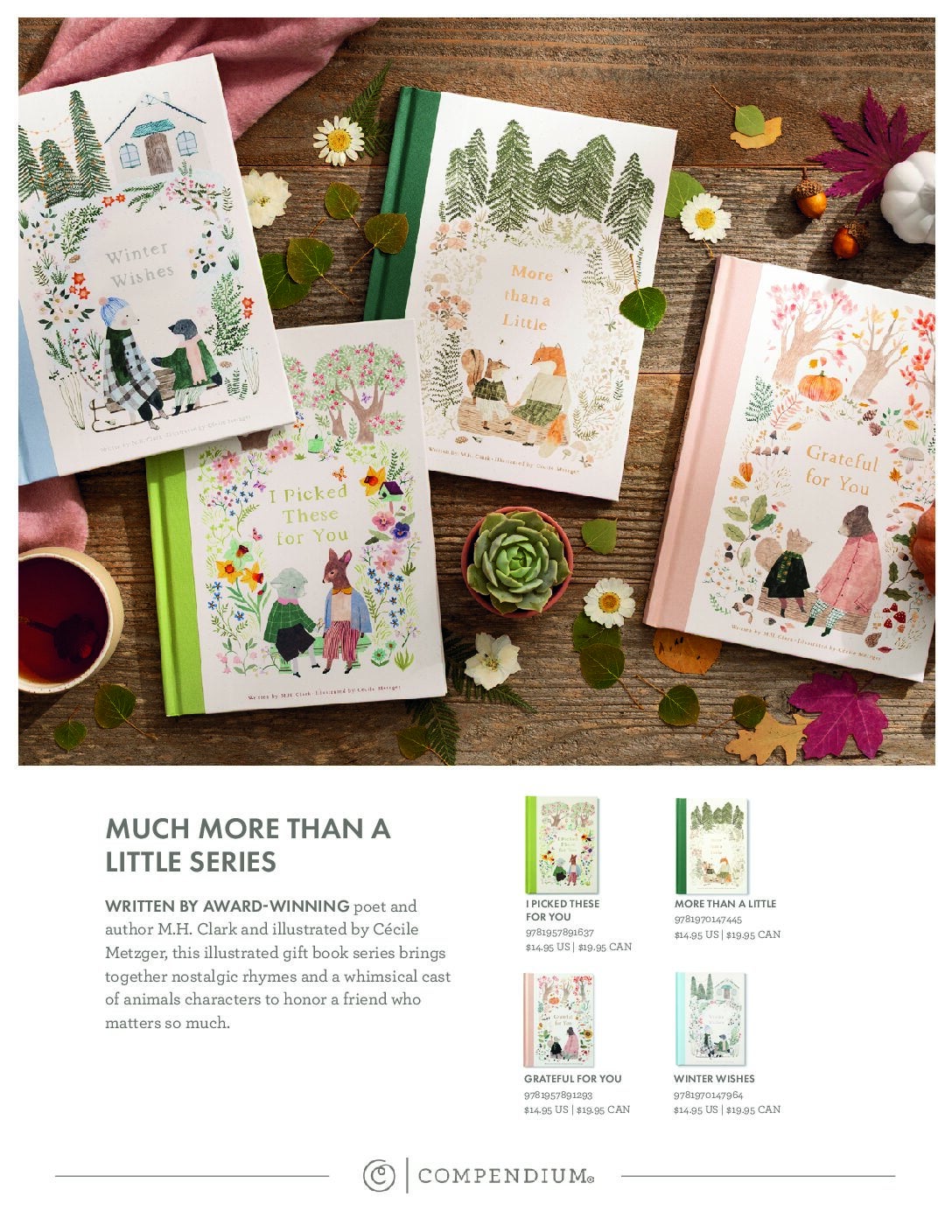 Much More than a Little Series Sell Sheet cover
