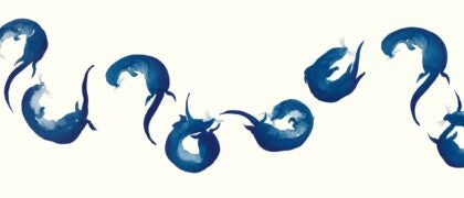 Nature Meditations for Unwinding: New from Jackie Morris